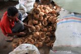 Seorang warga membersihkan batok kelapa sebelum proses pembuatan arang tempurung di Desa Suak Ribe, Kecamatan Johan Pahlawan, Aceh Barat, Aceh, Jumat (15/11/2019). Pemanfaatan limbah batok kelapa selain untuk pembuatan berbagai jenis kerajinan juga dimanfaatkan untuk pembuatan arang tempurung yang dijual Rp5.000 sampai Rp7.500 per kilogram tergantung kualitas arang. Antara Aceh/Syifa Yulinnas.