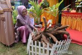 Wakil Ketua PKK provinsi Aceh, Dyah Erti Idawati bersama rombongan menyaksikan buah singkong di salah satu anjungan tanaman hortikultura dan palawija pada pameran Aceh Agro Expo 2019 di Lapangan Blang Padang, Banda Aceh, Aceh, Sabtu (16/11/2019). Aceh Agro Expo 2019 diikuti sejumpah kabupaten/kota itu menampilkan berbagai jenis komoditas holtikultura, palawija, perkinan makanan olahan dan tehnologi pertanian yang berlangsung tanggal 15 - 17 November 2019. Antara Aceh/Ampelsa.