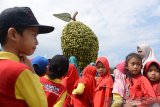 Sejumlah murid PAUD bersama gurunya mengunjungi salah satu anjungan buah-buahan saat berlangsung Aceh Agro Expo 2019 di Lapangan Blang Padang, Banda Aceh, Aceh, Sabtu (16/11/2019). Menurut guru sekolah, kunjungan murid ke lokasi pameran Aceh Expo 2019 yang berlangsung tanggal 15 - 17 November itu, merupakan edukasi kepada pelajar untuk mengenal berbagai jenis tanaman dan alat pertanian . Antara Aceh/Ampelsa.