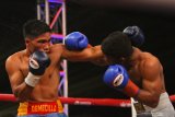 Petinju Indonesia Ongen Saknosiwi (kanan) memukul petinju Filiphina, Marco Demecillo (kiri) dalam perebutan gelar juara dunia kelas bulu 57,1 kilogram versi International Boxing Association (IBA) di Batu, Jawa Timur, Minggu (17/11/2019). Dalam pertandingan yang berlangsung 12 ronde tersebut, Ongen menang angka atas Demecillo. Antara Jatim/Ari Bowo Sucipto/zk.