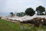 Pekerja berada di depan gudang pengeringan tembakau yang rusak terkena angin puting beliung di Desa Kawangrejo, Mumbulsari, Jember, Jawa Timur, Selasa (19/11/2019). Badan Penanggulangan Bencana Daerah (BPBD) Jember mencatat angin puting beliung merusak 51 bangunan di enam kecamatan di Jember yang terjadi kemarin, Senin (18/11/2019) petang. Antara Jatim/Seno/zk.