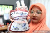 Petugas Unit Transfusi Darah Palang Merah Indonesia (PMI) Aceh Barat memperlihatkan kantong darah saat aksi donor darah memperingati Hari Kesehatan Nasional (HKN) ke-55 di halaman kantor Bupati Aceh Barat, Aceh, Selasa (19/11/20119). Kegiatan donor darah yang di gelar Pemerintah Kabupaten Aceh Barat bekerjasama dengan Dinas Kesehatan tersebut bertujuan untuk meningkatkan stok darah PMI di daerah itu. Antara Aceh/ Syifa Yulinnas.