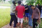 Depresi, Yandi ditemukan tergantung di pohon alpukat