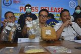 Kepala Badan Narkotika Nasional Kabupaten (BNNK) Ciamis Engkos Kosidin (kanan) didampingi Kasi Pemberantasan BNNK Ciamis Kompol Ricky Lesmana (tengah) menunjukan barang bukti narkoba pada Press release di Kantor BNNK Kabupaten Ciamis, Jawa Barat, Rabu (20/11/2019). BNNK Ciamis menangkap seorang ibu rumah tangga berinisial EK alias AY (39) pengedar narkoba dengan barang bukti berupa paket sabu-sabu sebanyak 26 paket siap edar yang dikemas dalam sedotan plastik serta ganja kering seberat 926,27 gram. ANTARA FOTO/Adeng Bustomi/agr