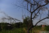 Kepulan asap keluar dari cerobong pabrik tahu yang menggunakan bahan bakar sampah plastik di Tropodo, Sidoarjo, Jawa Timur, Rabu (20/11/2019).  Pabrik tahu di wilayah tersebut terpaksa menggunakan sampah plastik sebagai bahan bakar karena harganya yang murah. Walaupun asap yang dihasilkan akibat pembakaran sampah plastik dapat menghasilkan zat dioksin yang dapat meracuni manusia, tumbuhan, binatang dan mencemari udara. Antara Jatim/Zabur Karuru
