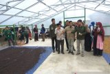 Pemkab Solok upayakan Indikasi Geografis untuk kopi Arabika dan Robusta