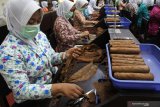 Pekerja melakukan proses pembuatan cerutu saat peresmian PT Boss Image Nusantara (BIN) Cigar Factory di Desa Jubung, Sukorambi, Jember, Jawa Timur, Sabtu (23/11/2019). BIN mengenalkan brand Jember Kota Cerutu sekaligus destinasi wisata cerutu sebab tembakau dan cerutu merupakan ikon Kabupaten Jember.  Antara Jatim/Seno/zk.