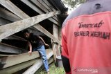 Warga melewati dinding rumah yang sedang diperbaiki akibat dirusak kawanan gajah liar di Dusun Sejahtera, Desa Rimba Raya, Bener Meriah, Aceh, Sabtu (23/11/2019). Menurut Kepala Desa Rimba Raya diperkirakan sebanyak 40 ekor lebih gajah sumatra liar berkeliaran di pemukiman maupun perkebunan warga dean telah merusak delapan unit rumah serta ratusan hektare tanaman perkebunan sejak dua pekan terakhir. Antara Aceh/Irwansyah Putra.