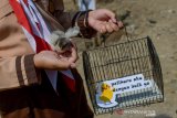 Perwakilan siswa menunjukan anak ayam yang diberikan Wali Kota Bandung Oded M Danial di Gedebage, Bandung, Jawa Barat, Kamis (21/11/2019). Pemerintah Kota Bandung meluncurkan program tahap pertama pemberian 2.000 anak ayam yang dibagikan ke 12 sekolah tingkat SD dan SMP di wilayah Kecamatan Gedebage dan Kecamatan Cibiru yang ditujukan untuk meminimalisir siswa agar tidak kecanduan gawai. ANTARA JABAR/Raisan Al Farisi