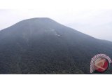 Petik tanaman dilindungi, Sekelompok pemuda  dilarang daki Gunung Dempo