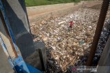 Warga mengambil sampah yang menutupi permukaan Sungai Cikeruh yang bermuara ke Sungai Citarum di Sukarame, Cileunyi, Kabupaten Bandung, Jawa Barat, Kamis (28/11/2019). Warga menyatakan, sudah hampir seminggu sampah tersebut mengendap di Sungai Cikeruh dan berharap pihak terkait membersihkan sampah karena dapat menimbulkan berbagai penyakit. ANTARA JABAR/Raisan Al Farisi/agr