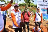 Pemprov Sulbar telah rehabilitasi 2.000 hektare kawasan hutan