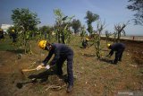 Pekerja beraktivitas untuk pelaksanaan pemulihan (restorasi) garis pantai proyek kilang minyak 