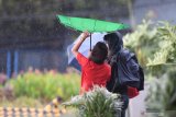 KBRI Filipina: Tidak ada laporan kontingen Indonesia terimbas badai Kammuri