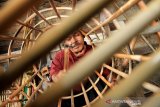 Perajin menyelesaikan pembuatan keranjang nasi dari rotan di Desa Ujong Baroh, Johan Pahlawan, Aceh Barat, Aceh, Kamis (5/12/2019). Berbagai kerajinan berbahan baku rotan seperti keranjang nasi, hula hoop, kursi, meja, tongkat, tudung saji, ayunan bayi, keranjang, tongkat dan alat pemukul tersebut dijual dengan kisaran harga Rp30 ribu hingga Rp2,5 juta per unit. Antara Aceh/Syifa Yulinnas.