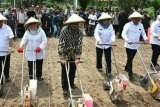 Sulbar miliki lahan kering 623.000 hektare potensial untuk pertanian