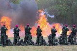 Prajurit Korps Marinir TNI Angkatan Laut menembak saat Pemecahan Museum Rekor-Dunia Indonesia (MURI) di Lapangan Tembak Internasional FX. Soepramono, Bhumi Marinir Karangpilang, Surabaya, Jawa Timur, Sabtu (7/12/2019). Kegiatan yang melibatkan 1.474 prajurit Korps Marinir itu berhasil memecahkan rekor MURI dengan 'Menembak oleh Petembak Terbanyak'. Antara Jatim/Didik/ZK