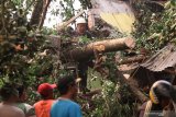 Petugas mencari korban di bangunan mushola dan warung yang ambruk tertimpa pohon di kawasan wisata Sumber Jiput, Kota Kediri, Jawa Timur, Senin (9/12/2019). Bencana angin kencang yang disertai hujan lebat di daerah tersebut mengakibatkan satu orang meninggal dunia, tiga mobil rusak, dan sejumlah bangunan roboh. Antara Jatim/Prasetia Fauzani/zk.