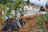 Warga menyiapkan lahan untuk menanam bibit pohon pada acara Gerakan Penanaman Pohon pada Lahan Kritis di Desa Cimenyan, Kabupaten Bandung, Jawa Barat, Senin (9/12/2019). Sedikitnya 17 ribu bibit pohon ditanam sebagai upaya penanganan dan pengendalian kerusakan lingkungan khususnya lahan kritis dan lahan resapan air di kawasan Bandung Utara yang termasuk dalam rencana penanaman 25 juta pohon di tahun 2020 oleh Pemerintah Provinsi Jawa Barat. ANTARA JABAR/Novrian Arbi/agr