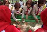 Sejumlah siswa belajar mensortir biji kopi di perkebunan Malangsari PTPN XII Kalibaru, Banyuwangi, Jawa Timur, Jumat (13/12/2019).  Pola konsumsi kopi masyarakat Indonesia mencapai 1,2 kilogram per kapita/tahun, atau masih tertinggal dari negara-negara pengimpor kopi seperti USA 4,3 kg, Jepang 3,4kg Belgia 8 kg dan Finlandia 11,4. Antara Jatim/Budi Candra Setya/zk