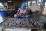 MULAI PRODUKSI IKAN KERING. Pekerja menyiapkan ikan untuk dijemur di Pantai Desa Tanjung, Pamekasan, Jawa Timur, Sabtu (14/12/2019). Produksi ikan untuk bahan baku pakan ternak dan ikan kering mencapai 400 kg per hari dan dalam beberapa pekan ke depan diperkirakan akan mencapai 2 ton hingga 4 ton ikan per hari. Antara Jatim/Saiful Bahri/zk
