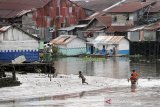 Anak-anak bermain di sungai Martapura yang mengalami pasang surut di Banjarmasin, Kalimantan Selatan, Senin (16/12/2019). Sungai Martapura yang mengalami pasang surut tersebut, dimanfaatkan warga untuk bermain serta mencari ikan. Foto Antaranews Kalsel/Bayu Pratama S.