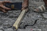 Warga menangkap ular sendok jawa atau kobra jawa (Naja sputatrix) di Perum Tata Lestari, Kecamatan Singaparna, kabupaten Tasikmalaya, Jawa Barat, Senin (16/12/2019). Warga menemukan 15 anak kobra jawa dalam satu pekan terakhir dengan ukuran panjang 30 cm dan selanjutnya menyerahkan ular tersebut ke komunitas penggemar reptil dan BPBD setempat. ANTARA JABAR/Adeng Bustomi/agr