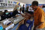 Petugas Badan Narkotika Nasional (BNN) memeriksa urine sopir bus antar kota antar provinsi guna mendeteksi penyalahgunaan narkoba di terminal Tamanan, Kota Kediri, Jawa Timur, Rabu (18/12/2019). Kegiatan menjelang musim libur Natal dan Tahun Baru tersebut merupakan upaya mencegah pemakaian narkoba sekaligus mematau kesehatan sopir guna menjamin keselamatan penumpang. Antara Jatim/Prasetia Fauzani/zk