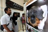 Pengunjung mengamati foto pada pameran foto lingkungan dan energi di Galeri Visual Antara (GVA) Biro Aceh, Banda Aceh, Rabu (18/12/2019). Pameran foto lingkungan dan energi yang menampilkan karya Ampelsa, Syifa Yulinnas, Irwansyah Putra, Hotli Simanjuntak, Istafan dan Zulfan Monika itu dalam rangka memeriahkan HUT ke-82 LKBN Antara serta peresmian GVA Biro Aceh itu digelar hingga 18 Januari 2020. ANTARA FOTO/Irwansyah Putra/pd.