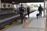 Petugas POM TNI AU menggunakan anjing pelacak K9 menyisir kawasan Stasiun Kereta Api (KA) Madiun, Jawa Timur, Kamis (19/12/2019). PT KAI Daerah Operasi 7 Madiun menerjunkan 384 personel keamanan, terdiri Polsuska, Satuan Pengamanan, TNI dan Polri guna mengamankan angkutan Natal dan Tahun Baru. Antara Jatim/Siswowidodo/zk