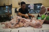 Pedagang memotong daging ayam di Pasar Tambahrejo, Surabaya, Jawa Timur, Selasa (24/12/2019). Menjelang Natal dan Tahun Baru 2020 harga daging ayam broiler di pasar tersebut naik dari Rp30.000 per kilogram menjadi Rp32.000 per kilogram. Antara Jatim/Moch Asim/zk.