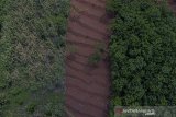 Foto udara kawasan hutan yang gundul akibat penebangan kayu di Alinayin, Kabupaten Ciamis, Jawa Barat, Kamis (25/12/2019). Kementerian Lingkungan Hidup dan Kehutanan mencatat dari sekitar 911.000 hektare lahan kritis, 714.000 hektare berada di wilayah Jabar, dan oleh karena itu Pemprov Jabar berencana memberdayakan lahan kritis melalui sistem wanatani atau agroforesty pada 2020. ANTARA JABAR/Adeng Bustomi/agr