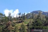 Pendakian Merbabu malam pergantian tahun ditutup