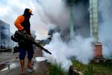 Sudah 30 kasus DBD serang warga di Barito Utara Kalteng