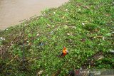 Sampah yang terbawa arus sungai martapura menumpuk di bawah Jembatan Pangeran Antasari, Banjarmasin, Kalimantan Selatan, Kamis (2/1/2020). Sebanyak 57 orang pasukan turbo dari Dinas PUPR Kota Banjarmasin di kerahkan untuk membersihkan sampah yang menutup sungai Martapura hingga mengakibatkan arus lalu lintas transportasi air terhambat. Foto Antaranews Kalsel/Bayu Pratama S.