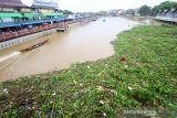 Sampah yang terbawa arus sungai martapura menumpuk di bawah Jembatan Pangeran Antasari, Banjarmasin, Kalimantan Selatan, Kamis (2/1/2020). Sebanyak 57 orang pasukan turbo dari Dinas PUPR Kota Banjarmasin di kerahkan untuk membersihkan sampah yang menutup sungai Martapura hingga mengakibatkan arus lalu lintas transportasi air terhambat. Foto Antaranews Kalsel/Bayu Pratama S.