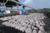 Warga menjemur ikan di Pantai Desa Tanjung, Pamekasan, Jawa Timur, Kamis (2/1/2020). Guna meningkatkan kualitas dibanding kuantitas Kementerian Kelautan dan Perikanan (KKP) memproyeksikan produksi perikanan tangkap pada 2020 hanya 8,02 juta ton lebih rendah dari tahun lalu yang mencapai 8,4 juta ton. Antara Jatim/Saiful Bahri/zk.
