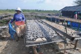Warga menjemur ikan di Pantai Desa Tanjung, Pamekasan, Jawa Timur, Kamis (2/1/2020). Guna meningkatkan kualitas dibanding kuantitas Kementerian Kelautan dan Perikanan (KKP) memproyeksikan produksi perikanan tangkap pada 2020 hanya 8,02 juta ton lebih rendah dari tahun lalu yang mencapai 8,4 juta ton. Antara Jatim/Saiful Bahri/zk.