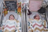 Syahnaz adik kandung Raffi Ahmad lahirkan anak kembar