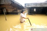 Warga melintas saat banjir di kawasan Cempaka, Banjarbaru, Kalimantan Selatan, Minggu (5/1/2020). Banjir yang disebabkan meluapnya sungai Tiung di kawasan Cempaka tersebut berdasarkan data Badan Penanggulangan Bencana Daerah (BPBD) Kalsel mengakibatkan 70 rumah dan tiga sekolah PAUD terendam. Foto Antaranews Kalsel/Bayu Pratama S.