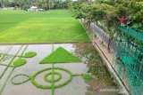 Ekspresi seni Land Art Not Khatulistiwa karya perupa Iwan Yusuf di Desa Huntu Selatan, Kabupaten Bone Bolango. Dengan mengambil tema pameran tunggal Menghadap Bumi, Iwan Yusuf mencoba menampilkan deformasi bentuk not balok dengan menggunakan padi di area sawah. (ANTARA FOTO/Adiwinata Solihin)