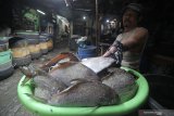 Pekerja membuang sisik ikan dorang di salah satu stan di Pasar Pabean, Surabaya, Jawa Timur, Selasa (7/1/2020). Menurut para pedagang harga sejumlah ikan laut naik antara Rp2.000 hingga Rp15.000 per kilogram dari harga sebelumnya karena dipicu kurangnya pasokan ikan dari nelayan akibat cuaca buruk yang terjadi dalam sepekan terakhir. Antara Jatim/Moch Asim/zk.