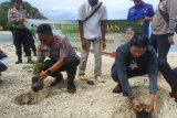 Polres Lampung Selatan tanam pohon di pesisir pantai Pulau Mengkudu