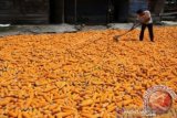 Pinsar harap pemerintah perhatikan harga jagung hindari gejolak pangan