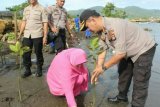 Polda Sulbar tanam 6.700 bibit pohon mangrove