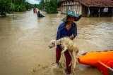 Warga menyelamatkan ternaknya dari banjir akibat tanggul Sungai Tuntang jebol di Desa Trimulyo, Guntur, Kabupaten Demak, Jawa Tengah, Kamis (9/1/2020). Menurut data Badan Penanggulangan Bancana Daerah (BPBD) Demak, tidak ada korban jiwa dalam peristiwa banjir yang merendam ratusan rumah warga tersebut. ANTARA FOTO/Aji Styawan/nz.