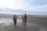 Pengunjung menikmati panorama pantai wisata Jumiang, Pamekasan, Jawa Timur, Minggu (12/1/2020). Dalam sepekan terakhir kunjungan wisatawan ke daerah itu, menurun karena terkendala cuaca terutama saat libur akhir pekan. Antara Jatim /Saiful Bahri/zk.