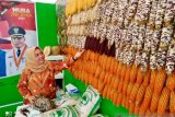 Kabupaten Musi Banyuasin kembangkan  varietas jagung ketan