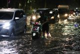 Pengendara kendaraan bermotor melintas di jalan yang tergenang air di Jalan Dr Soetomo, Surabaya, Jawa Timur, Rabu (15/1/2020). Hujan deras selama sekitar tiga jam yang mengguyur kota Surabaya menyebabkan sejumlah kawasan di kota Surabaya tergenang air. Antara Jatim/Didik/ZK