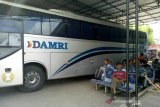 Damri buka trayek rintisan di Lubuklinggau  dan Musi Rawas